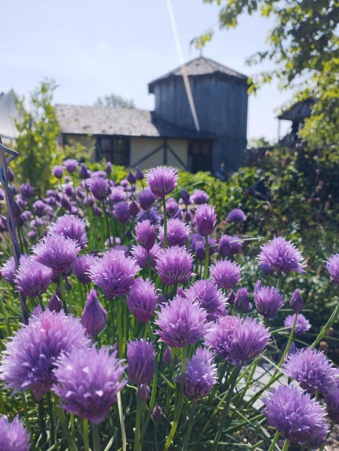 Domaine De La Ferte Clairbois Hotel Sainte-Suzanne  Buitenkant foto